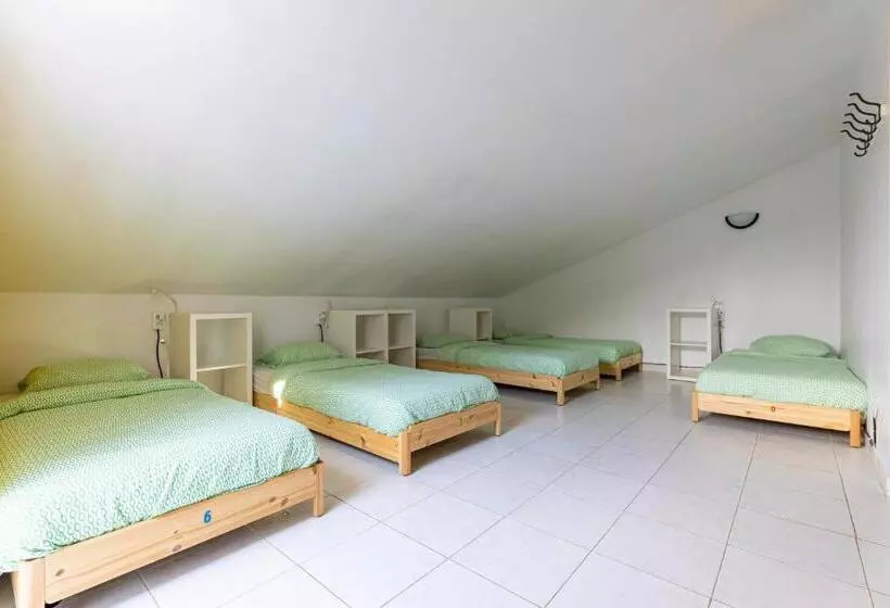 هاستل Pineapple Surf House