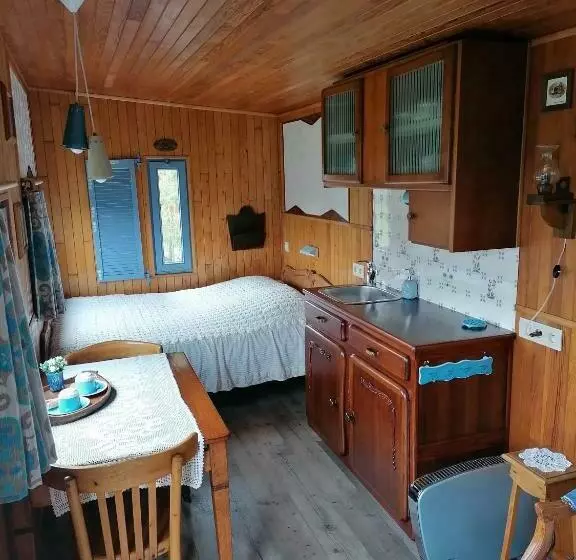 B&b Dream On Wheels