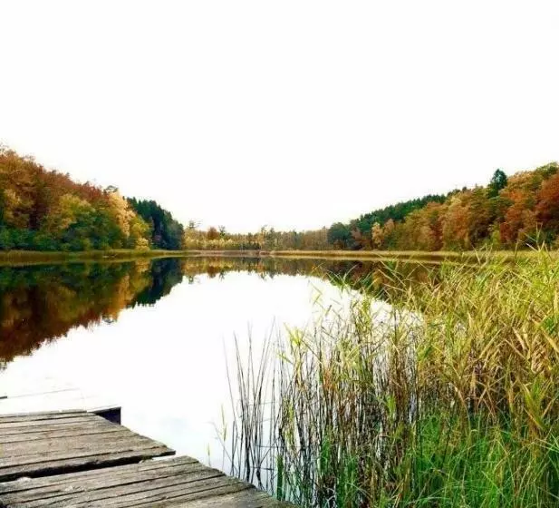 Aamiaismajoitus (B&B) Sjöborg Säng & Bassäng