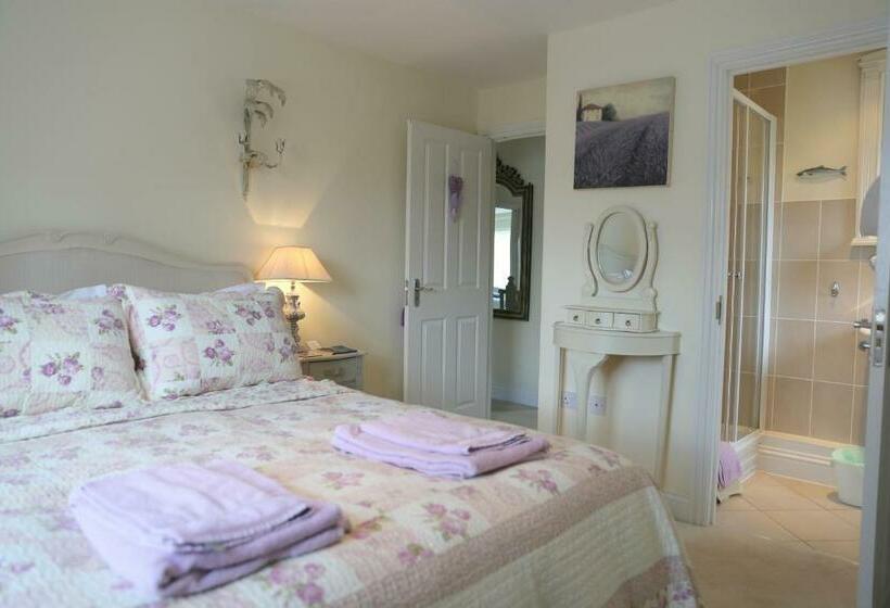 Harlequin B&b Ledbury