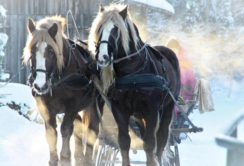 호텔 Bio Bauernhof Heidegger