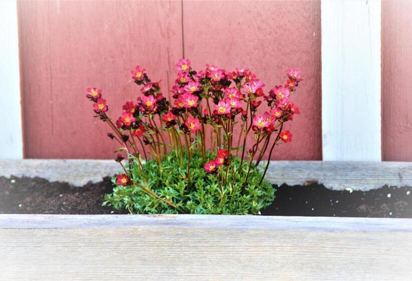 호텔 Bio Bauernhof Heidegger