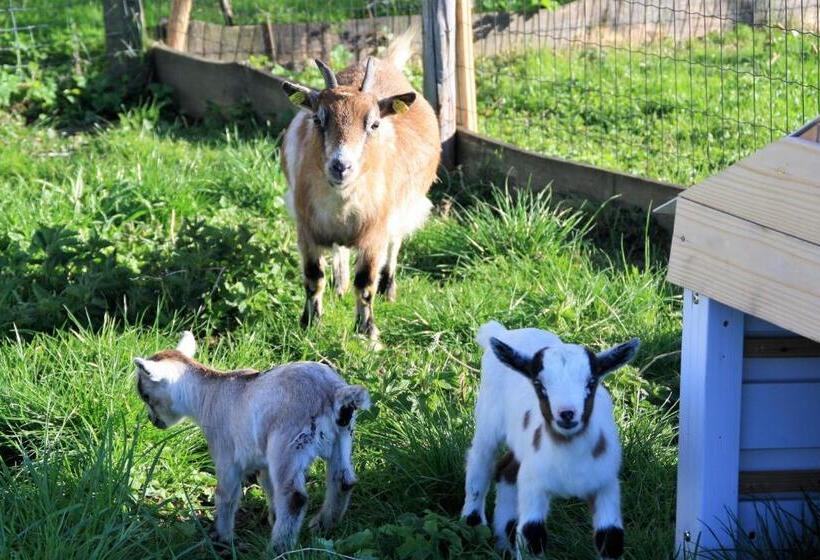 호텔 Bio Bauernhof Heidegger