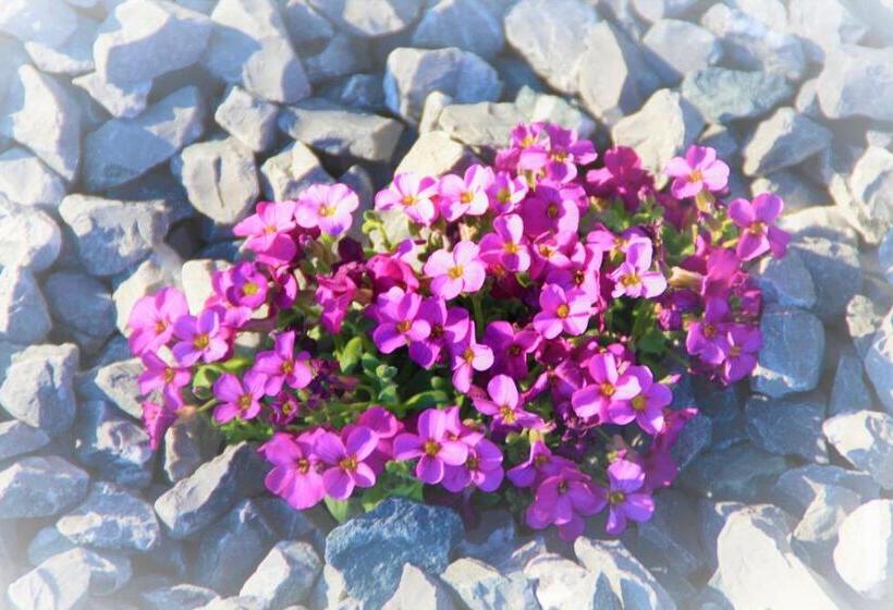 호텔 Bio Bauernhof Heidegger