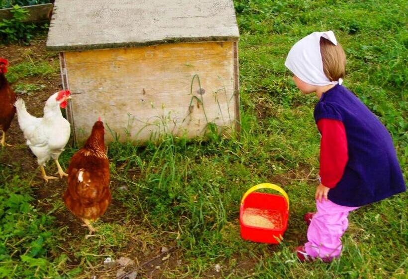 호텔 Bio Bauernhof Heidegger