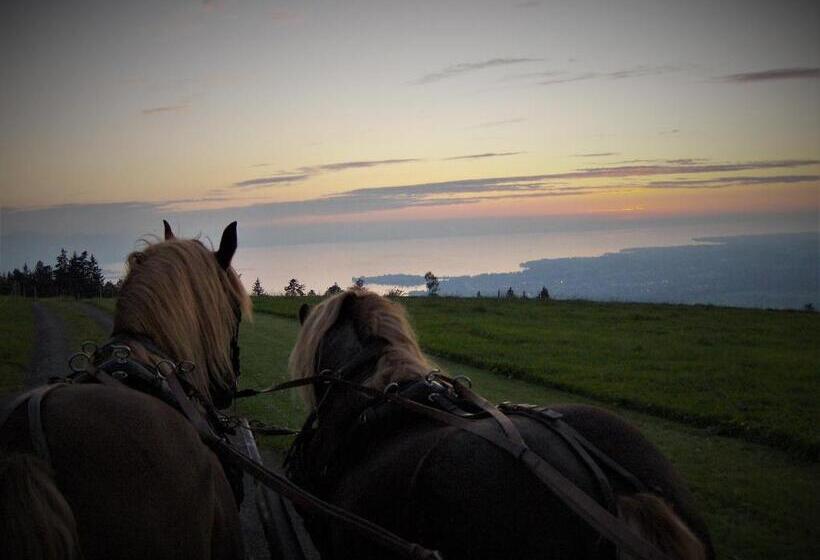 호텔 Bio Bauernhof Heidegger