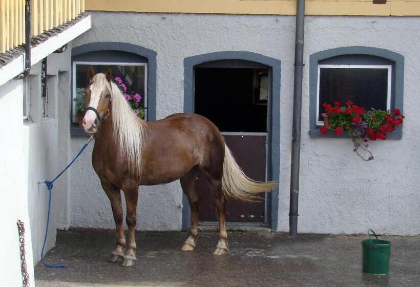 호텔 Bio Bauernhof Heidegger