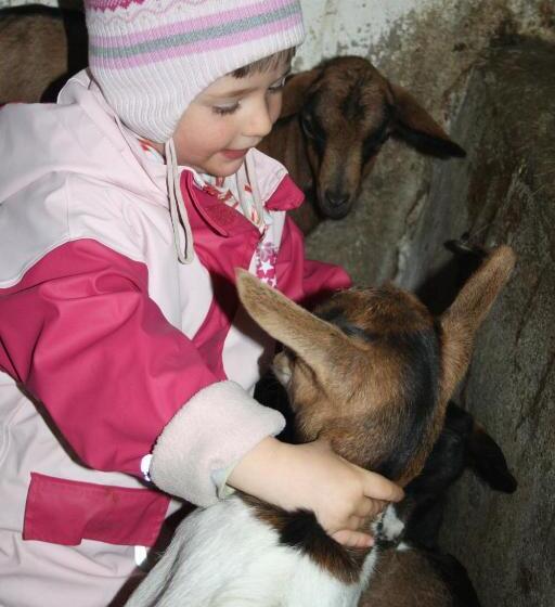 호텔 Bio Bauernhof Heidegger