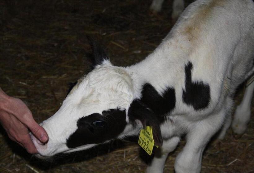 호텔 Bio Bauernhof Heidegger