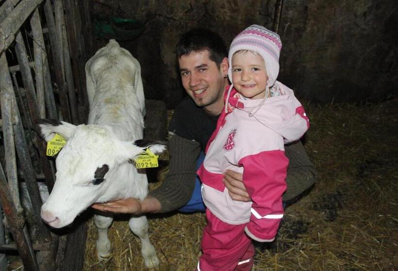 호텔 Bio Bauernhof Heidegger