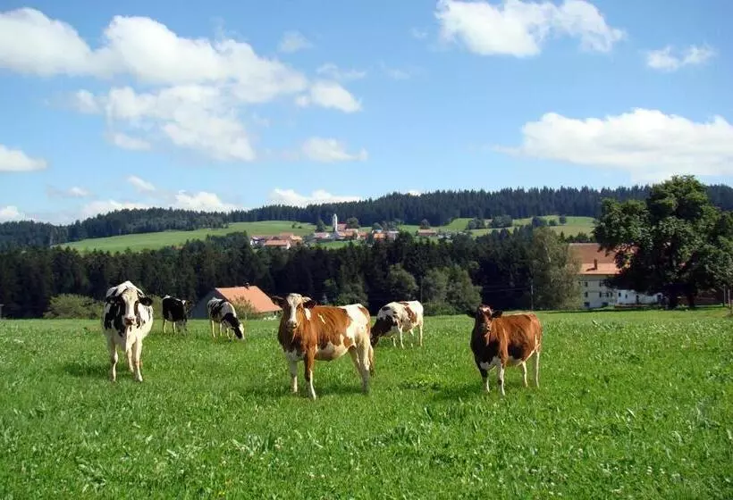 ホテル Bio Bauernhof Heidegger