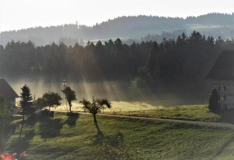 ホテル Bio Bauernhof Heidegger