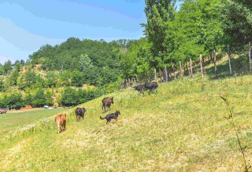 هتل Cascina Lissona