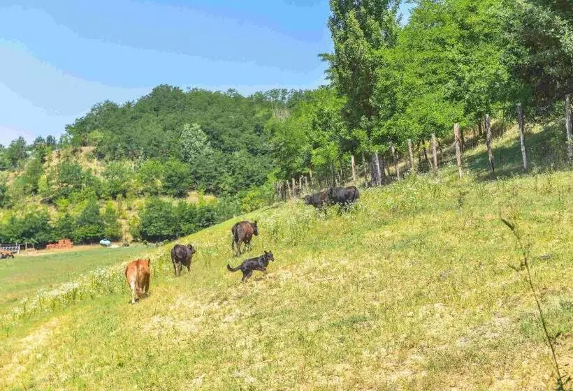 هتل Cascina Lissona