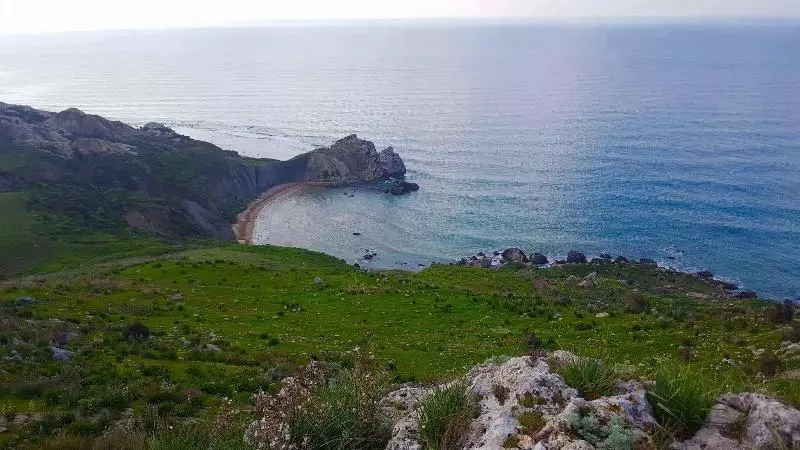 پانسیون Daphnae House