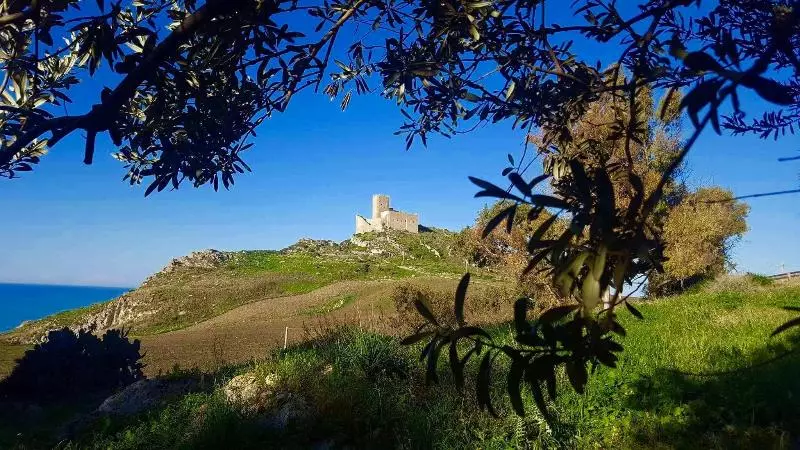 پانسیون Daphnae House