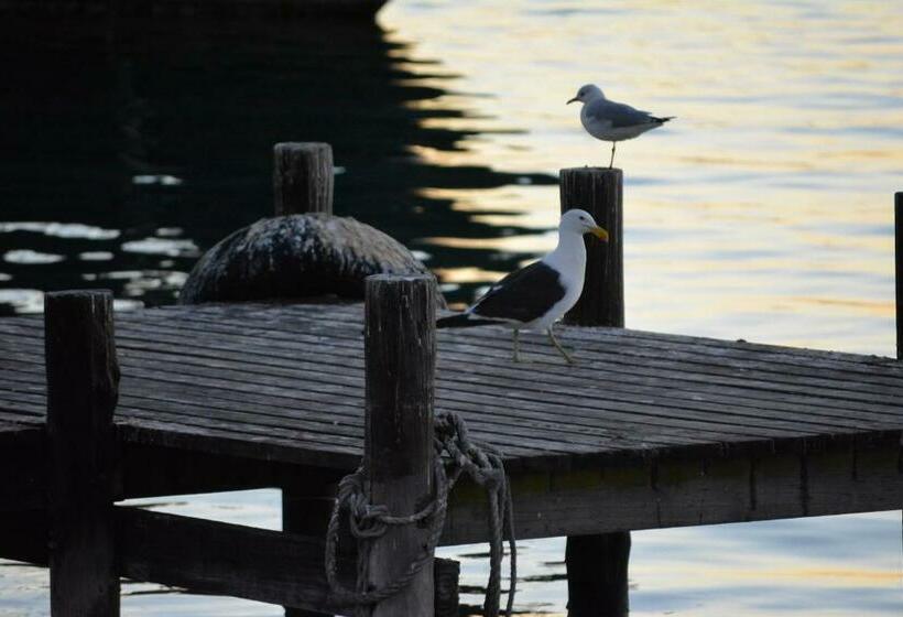 膳宿费 Rivertides Self Catering Guest House