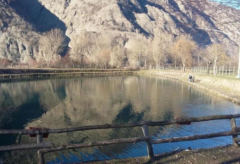 ベッドアンドブレックファースト B B Griffondoro