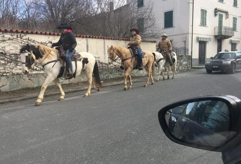 ベッドアンドブレックファースト B B Griffondoro