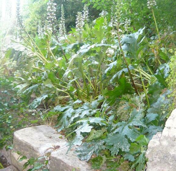 مبيت وإفطار Le Pra De Pé