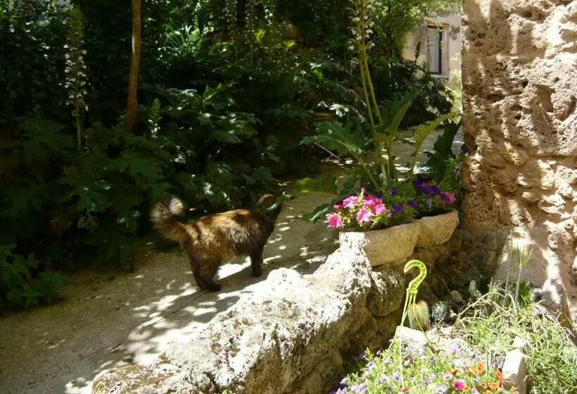 ベッドアンドブレックファースト Le Pra De Pé