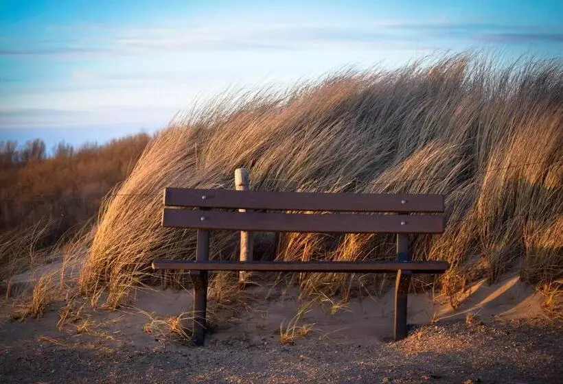 Aamiaismajoitus (B&B) Table D Hôte Teune & Janna