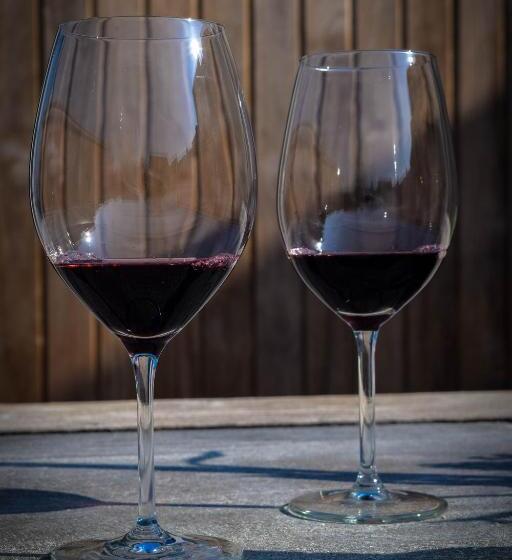 تختخواب و صبحانه Table D Hôte Teune & Janna