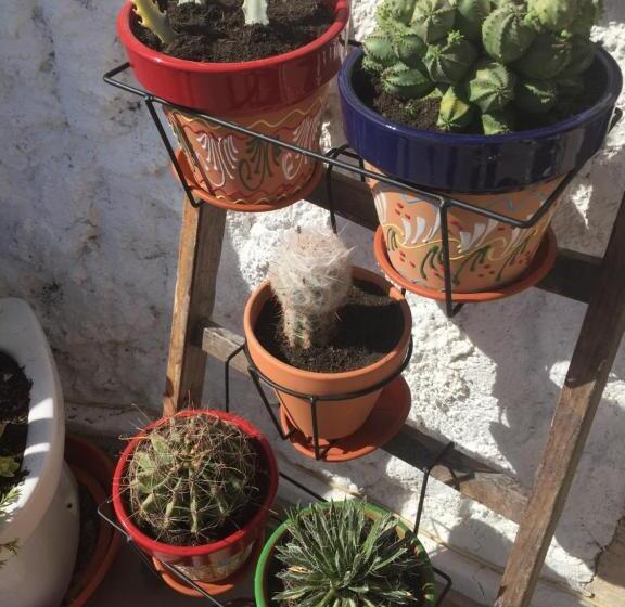 צימר The Cave Of Dreams