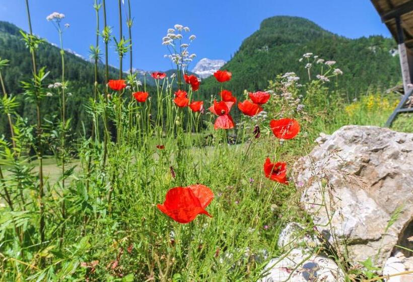 Frühstückspension Müllergut