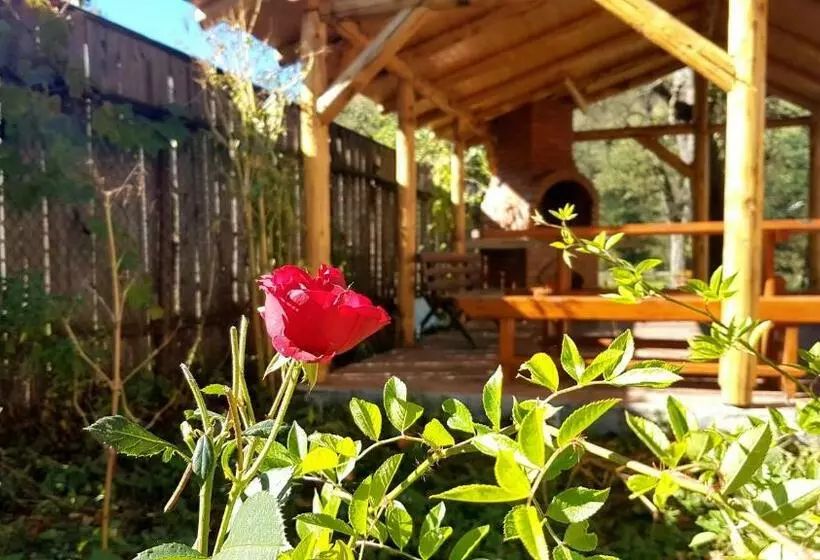 ホテル Casa Dorina