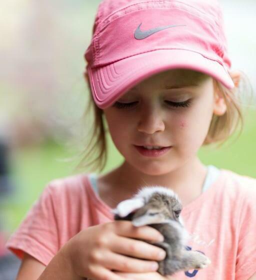 Отель Erlebnisbauernhof Steinerhof In Kärnten