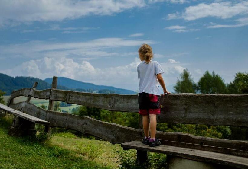 Отель Erlebnisbauernhof Steinerhof In Kärnten