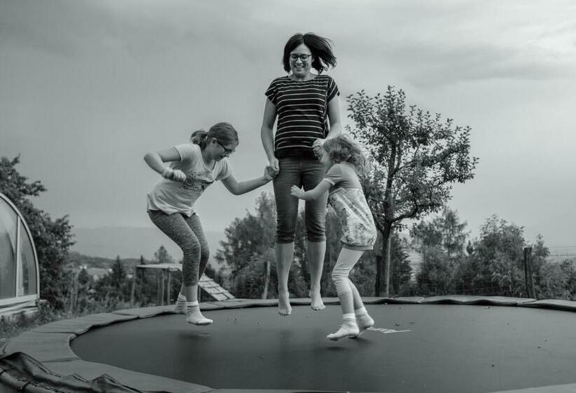 Отель Erlebnisbauernhof Steinerhof In Kärnten