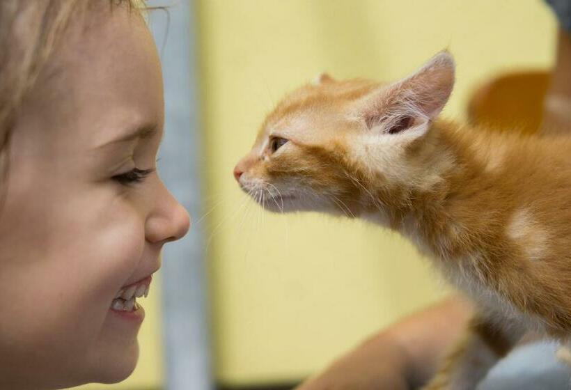 Отель Erlebnisbauernhof Steinerhof In Kärnten