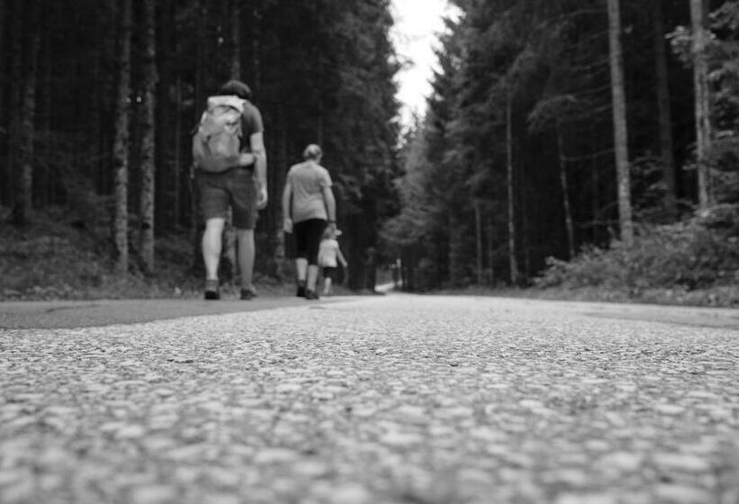 Отель Erlebnisbauernhof Steinerhof In Kärnten