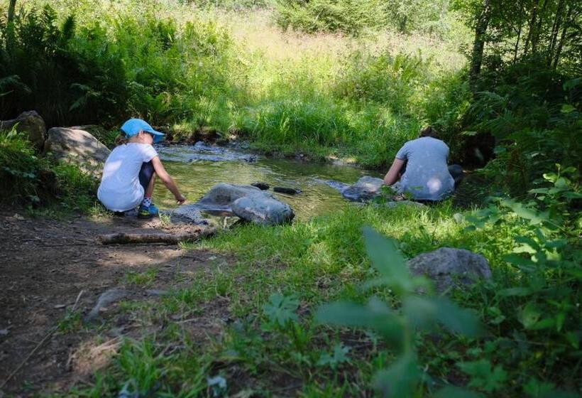 Отель Erlebnisbauernhof Steinerhof In Kärnten