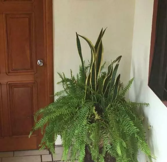 Majatalo Posada Familiar El Dorado