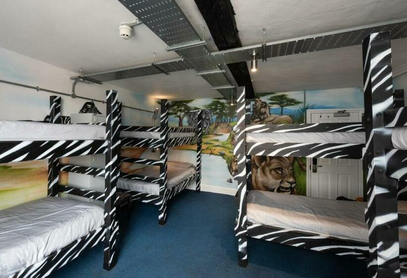 호스텔 The Full Moon Backpackers