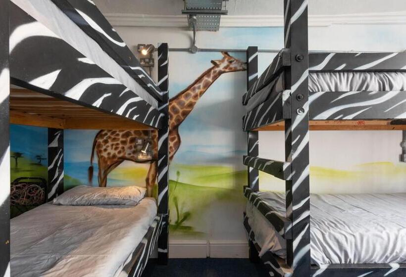 호스텔 The Full Moon Backpackers