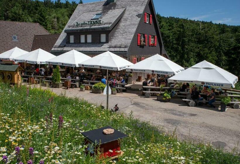 فندق صغير Zur Grossen Tanne