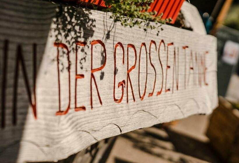 فندق صغير Zur Grossen Tanne