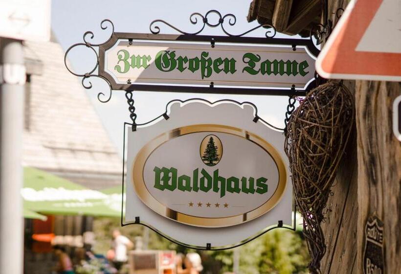 فندق صغير Zur Grossen Tanne