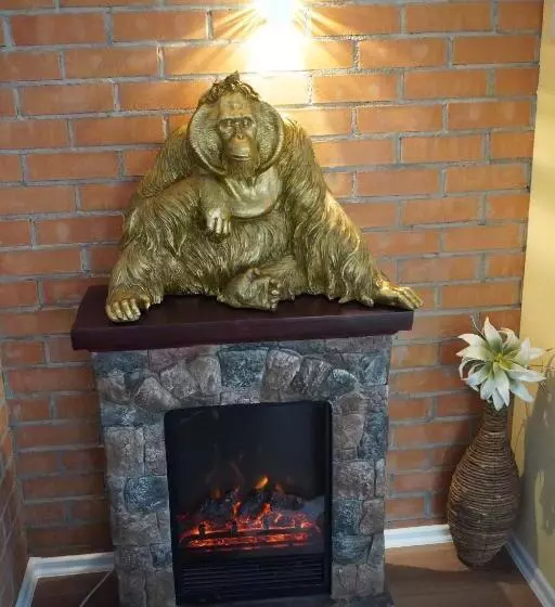 Aamiaismajoitus (B&B) Gästehaus Köhler