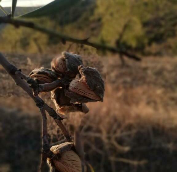 فندق Casas De Xisto