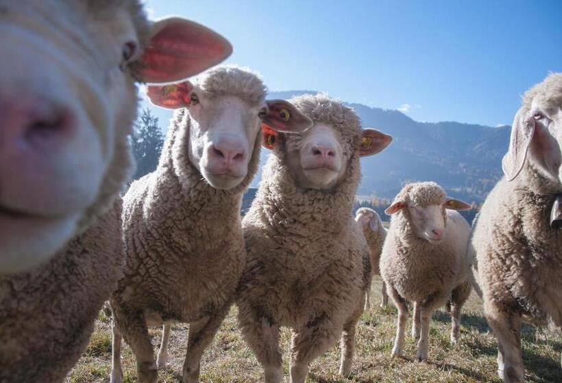 בית מלון כפרי Peterlan Hof