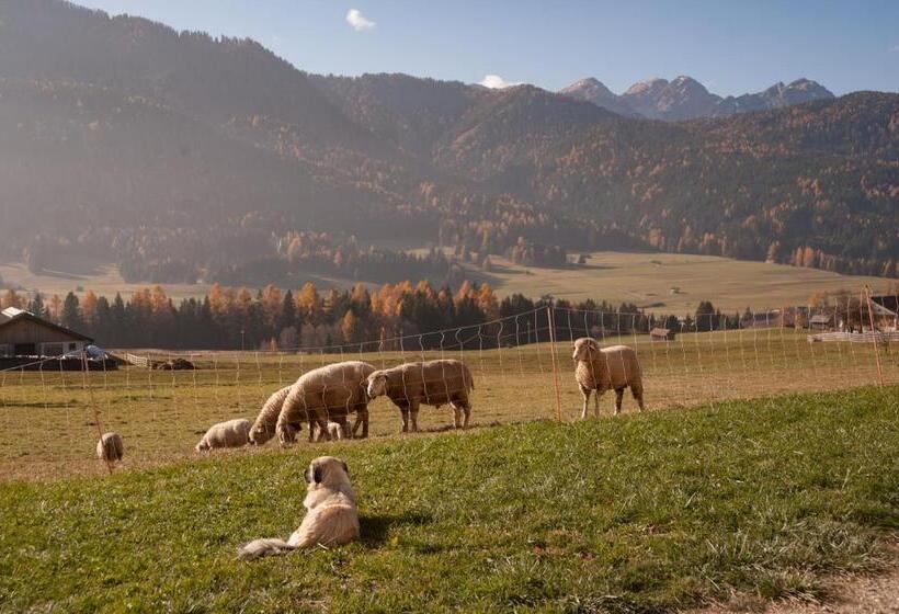 בית מלון כפרי Peterlan Hof