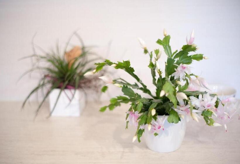 בית מלון כפרי Peterlan Hof