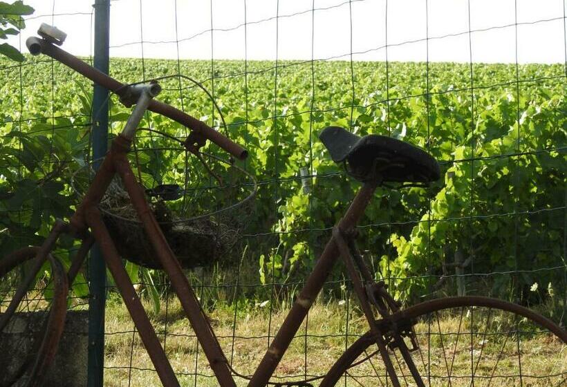 تختخواب و صبحانه Au Coeur Des Vignes