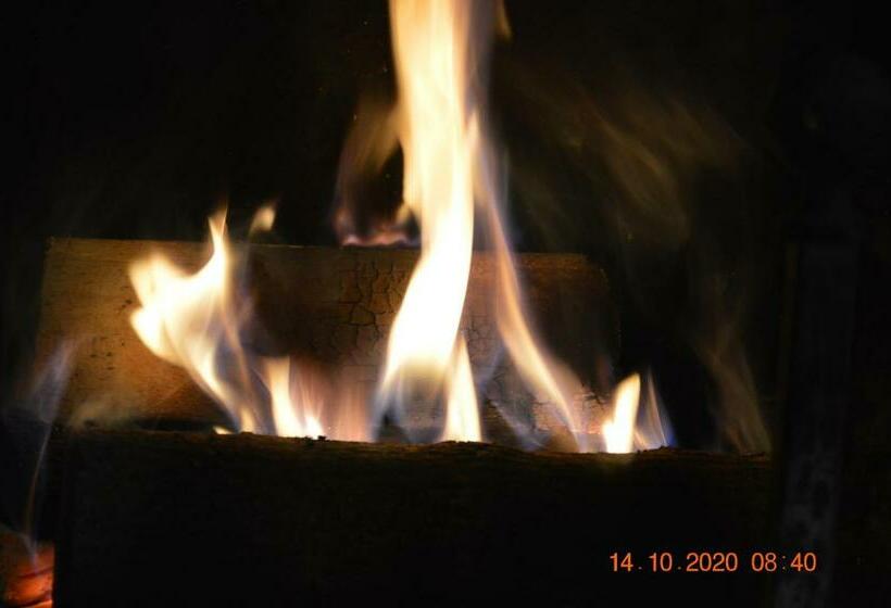 住宿加早餐  Villa Dacia