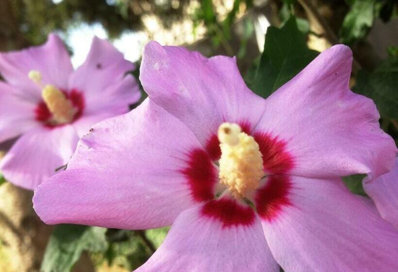 Le Vieux Puits Paris Est Paris Disney